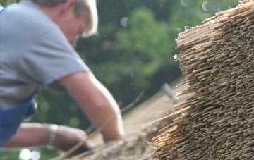 professional Clyst Honiton thatchers